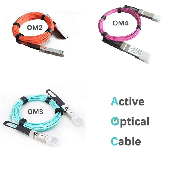 The network cable split by the optical splitter